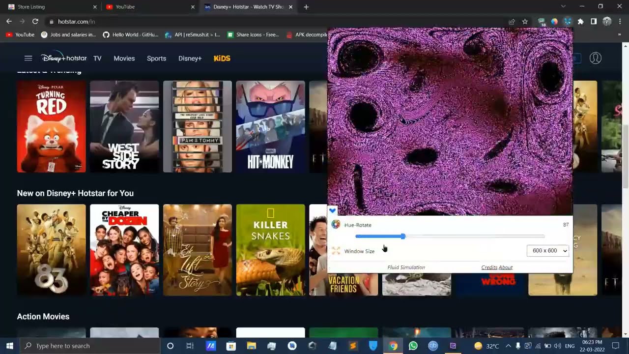 Fluid Simulation in motion
